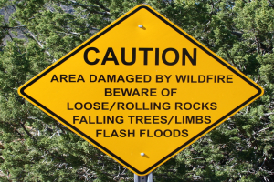 Gelbes Warnschild an einem Pfosten in der Nähe, das vor Wildfire-Schäden und Gefahren warnt, Bäume sind im Hintergrund zu sehen.