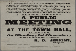 Eine Ankündigung für eine öffentliche Versammlung im Rathaus in Cardigan am Montag, den 1. November 1858, mit Text, der die Veranstaltung beschreibt.