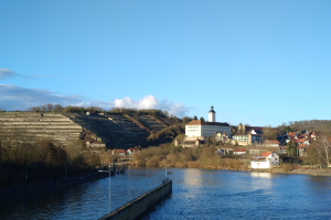 Ein malerischer Ausblick auf den Rhein in Deutschland, der eine Brücke, Laternenpfähle, Bäume, Gebäude entlang der Ufer und einen Hügel im bewölkten Himmel im Hintergrund zeigt.