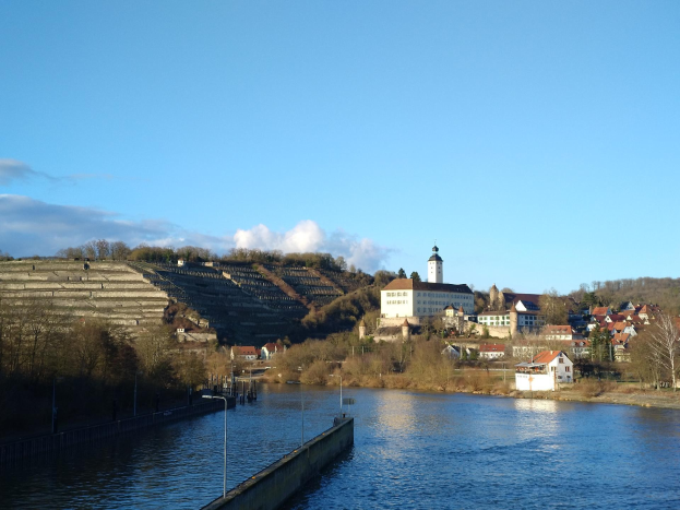 Ein malerischer Ausblick auf den Rhein in Deutschland, der eine Brücke, Laternenpfähle, Bäume, Gebäude entlang der Ufer und einen Hügel im bewölkten Himmel im Hintergrund zeigt.