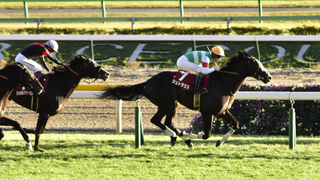 Zwei Jockeys auf Pferden, die eine Rennbahn entlanggaloppieren, umgeben von Grün, einem Geländer und einer Tafel im Hintergrund.
