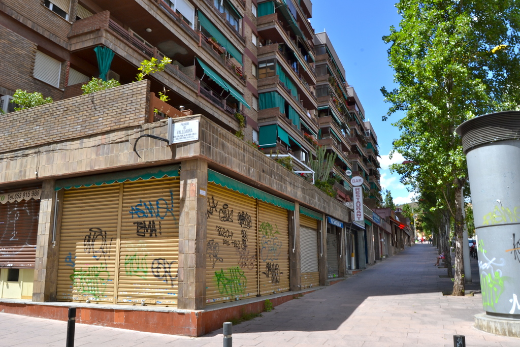 Eine Szenerie mit Gebäuden mit Fenstern, grünen Kleidungsstüccken, Geschäften, Schildern und umgebenden Bäumen und Pflanzen.