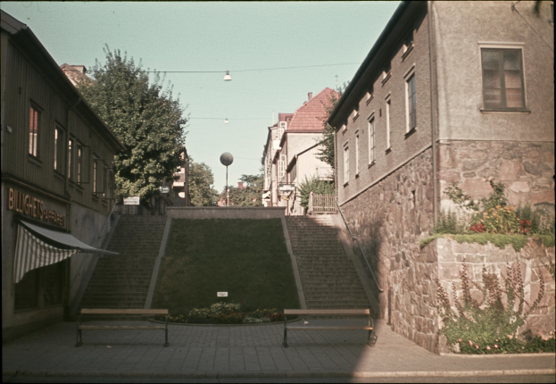 Altes Schwarz-Weiß-Foto einer Stadtstraße mit Gebäuden, Bäumen, Straßenlaternen, Treppen, Bänken, Namenstafeln und Gras im Hintergrund.