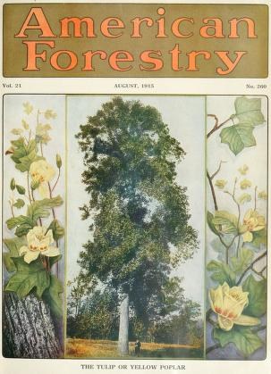 Ein Buchumschlag mit der Aufschrift "American Forestry Magazine, August 1915" mit leuchtenden Illustrationen von Bäumen, Blumen und Laub.