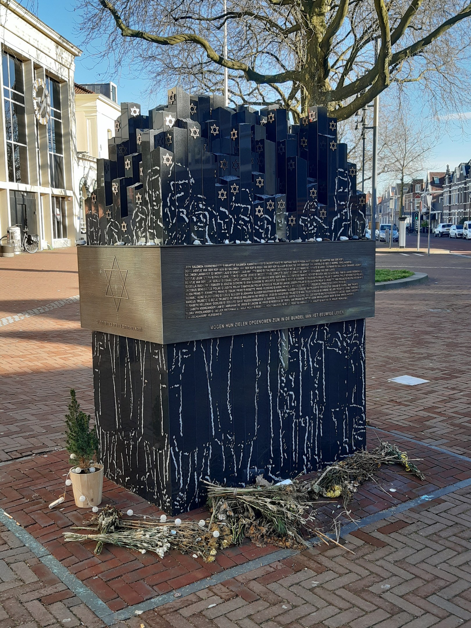 Denkmal in einem Stadtplatz gewidmet an Holocaust-Opfern, mit einem Baum davor, einer Topfpflanze und trockenen Blättern auf dem Boden, umgeben von Gebäuden, Fahrzeugen, Pfählen, Bäumen und Himmel.
