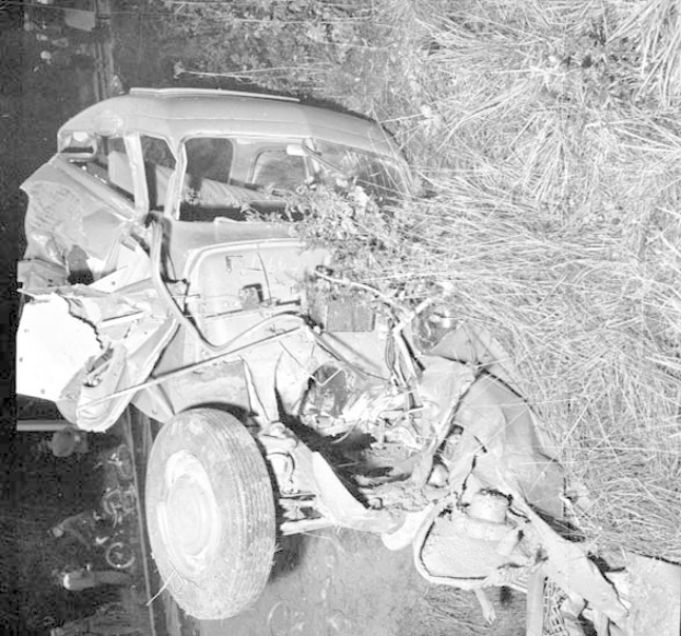 Schwer beschädigte schwarze Limousine mit eingedrückter Front und zersplitterten Fenstern am Straßenrand, Baum im Hintergrund.
