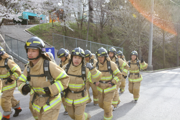 Feuerwehrmitglieder mit Helmen gehen eine von Bäumen gesäumte Straße mit Pfählen, Drähten und Maschendrahtzaun entlang, mit Gebäuden und einem klaren blauen Himmel im Hintergrund.