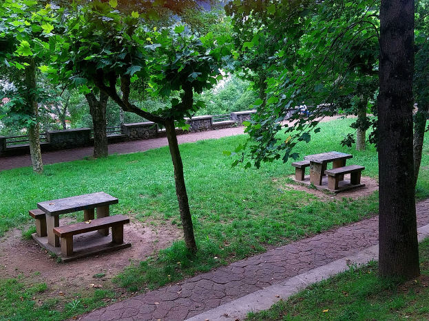 Ein Park mit grünem Gras, hohen Bäumen und einem gewundenen Pfad, der einen Picknicktisch mit umliegenden Bänken in der Mitte zeigt.