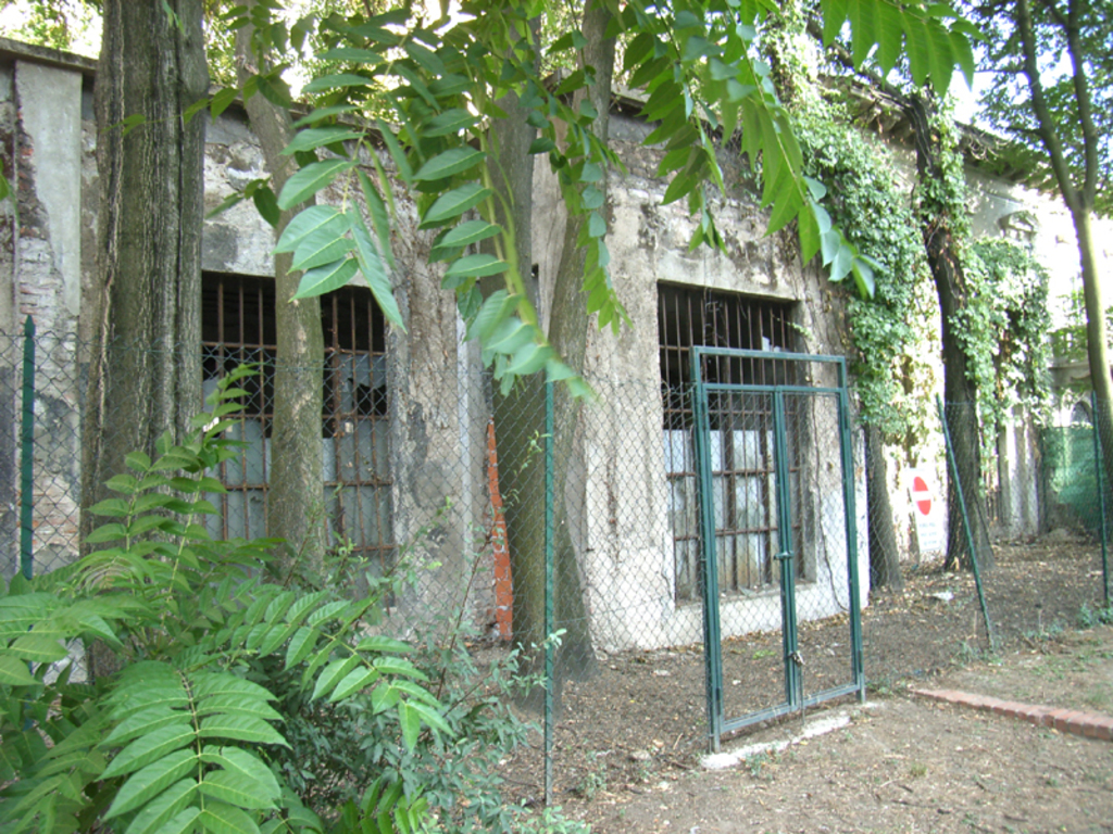 Ein altes Haus mit einem kaputten Fenster aus Glas, einem Baumstamm auf der linken Seite, einem Metalltor und einem Metallzaun sowie einer Pflanze in der unteren linken Ecke.