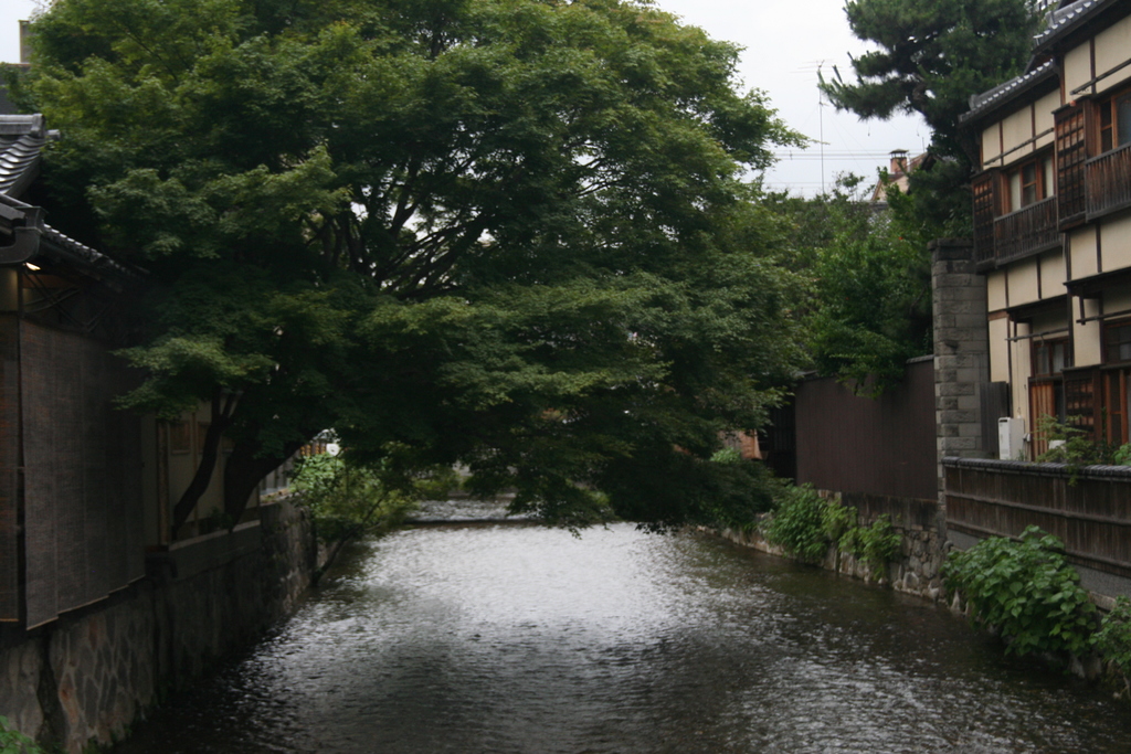 Eine friedliche Außenansicht mit einem See am Boden, flankiert von zwei Gebäuden mit Wänden, Fenstern, Dächern, Geländern und Türen, umgeben von zahlreichen Bäumen und Pflanzen.