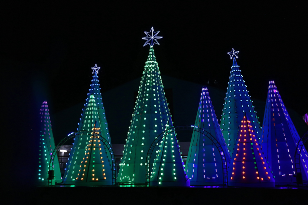 Eine Gruppe von Weihnachtsbäumen, die mit bunten Lichtern beleuchtet und mit Sternen geschmückt sind, erzeugen eine festliche Atmosphäre.
