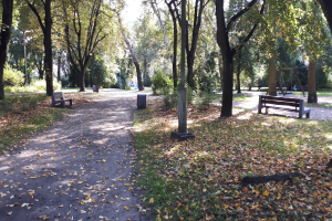 Ein von hohen, grünen Bäumen gesäumter Parkweg mit Bänken, beschattet von ihrem Blätterdach, mit trockenen Blättern auf dem Boden.