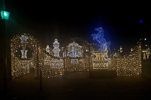 Ein Park bei Nacht mit Weihnachtslichtern in einem dekorativen Muster, beleuchtet von einer Straßenlaterne links.