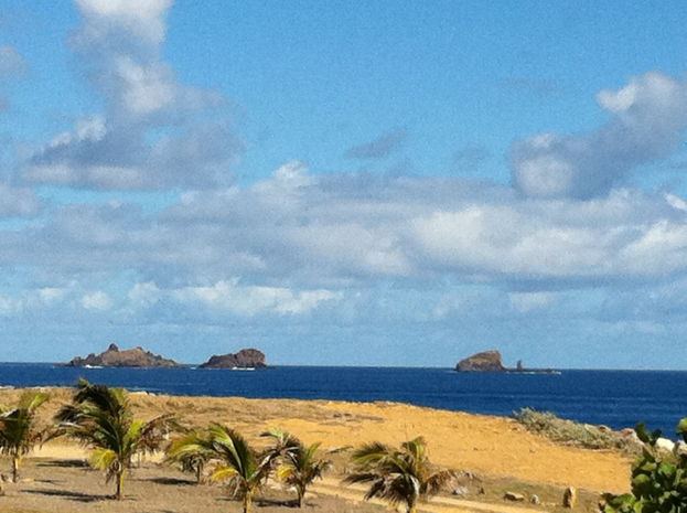 Eine Strandszene mit Palmen, grünem Gras und einem Gewässer, vor einem blauen Himmel mit weißen Wolken und fernen Bergen.