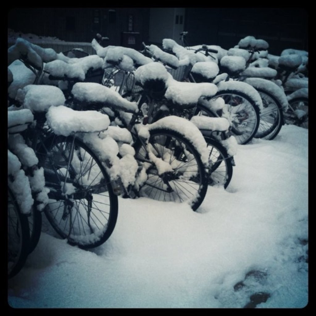 Fahrräder mit Schnee bedeckt auf einem schneebedeckten Boden.