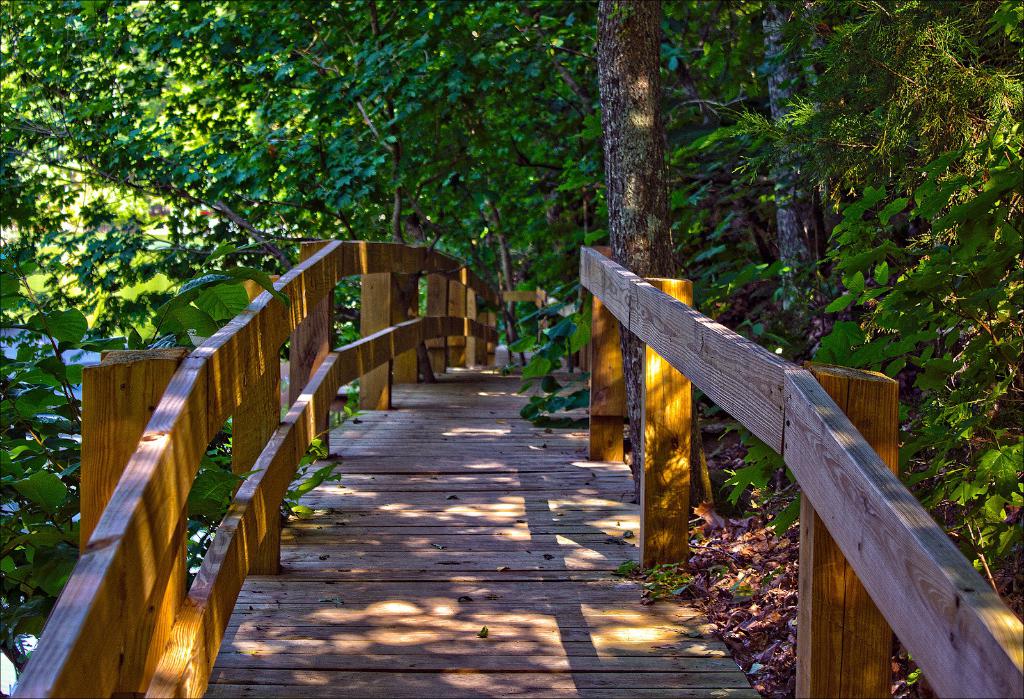 Eine hölzerne Gartenbrücke in der Mitte mit Bäumen im Hintergrund.